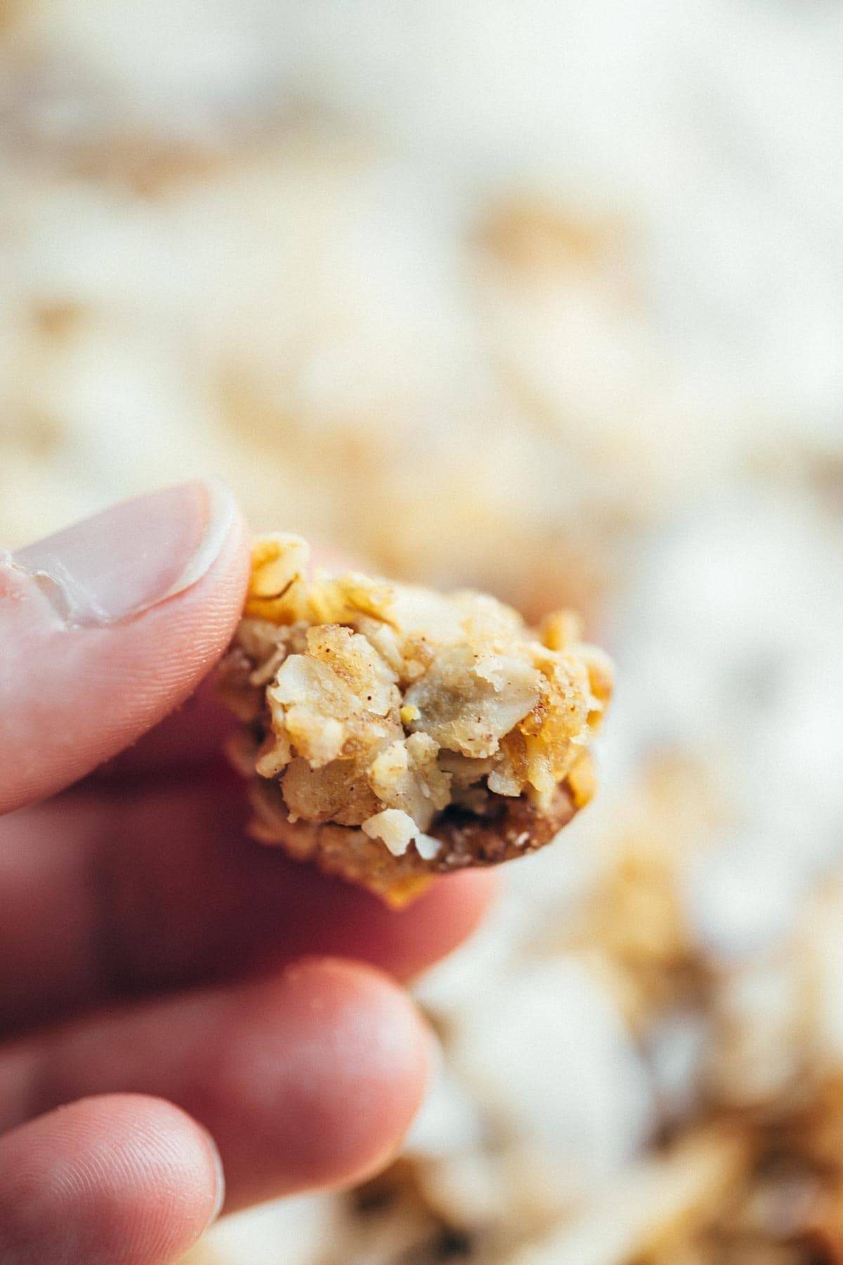 Perfect granola for taking along on summer vacation for easy, real food breakfasts! Made in 30 minutes. Simple and SO good! | pinchofyum.com Perfect granola for taking along on summer vacation for easy, real food breakfasts! Made in 30 minutes. Simple and SO good! | pinchofyum.com