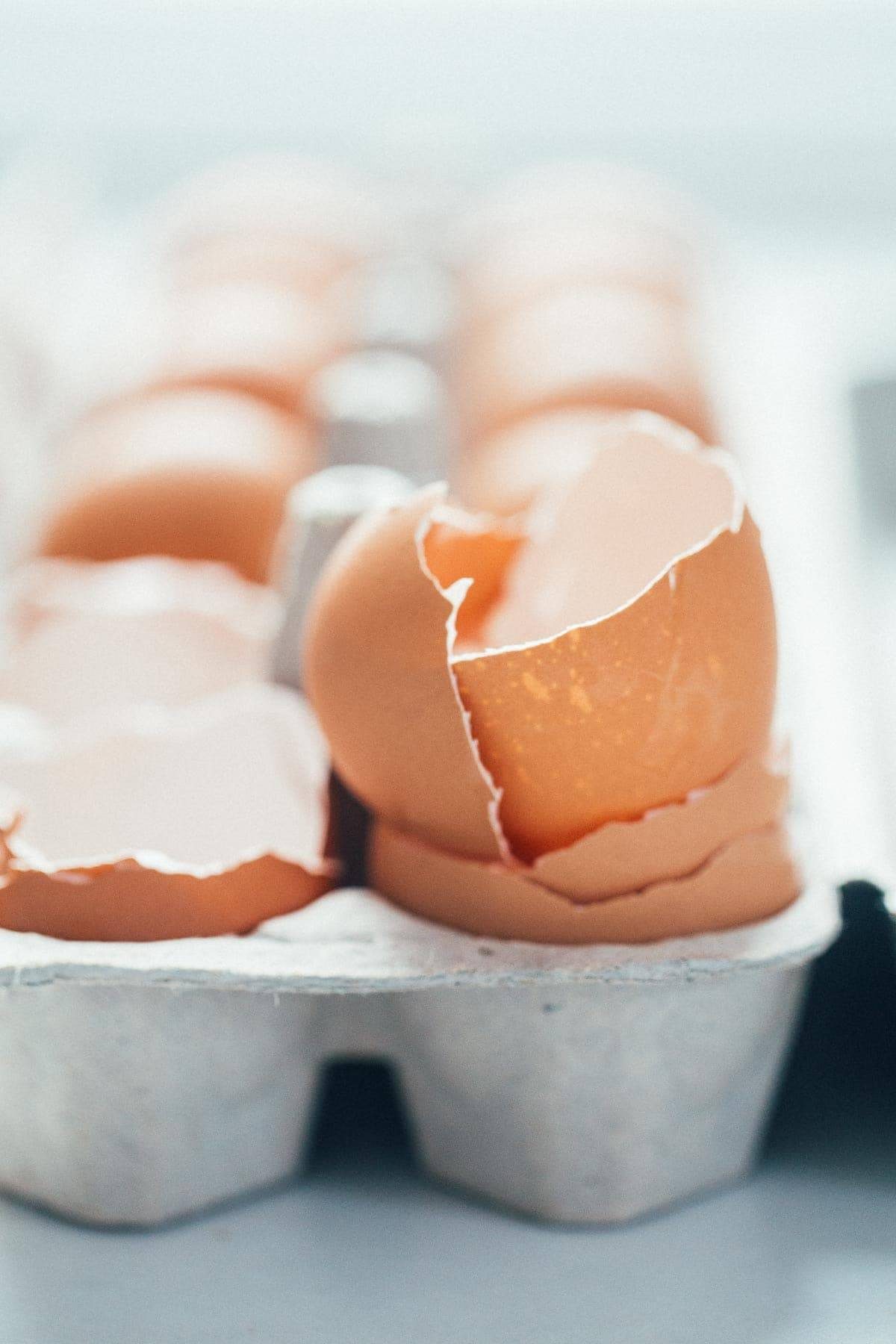 Egg shells in a carton.