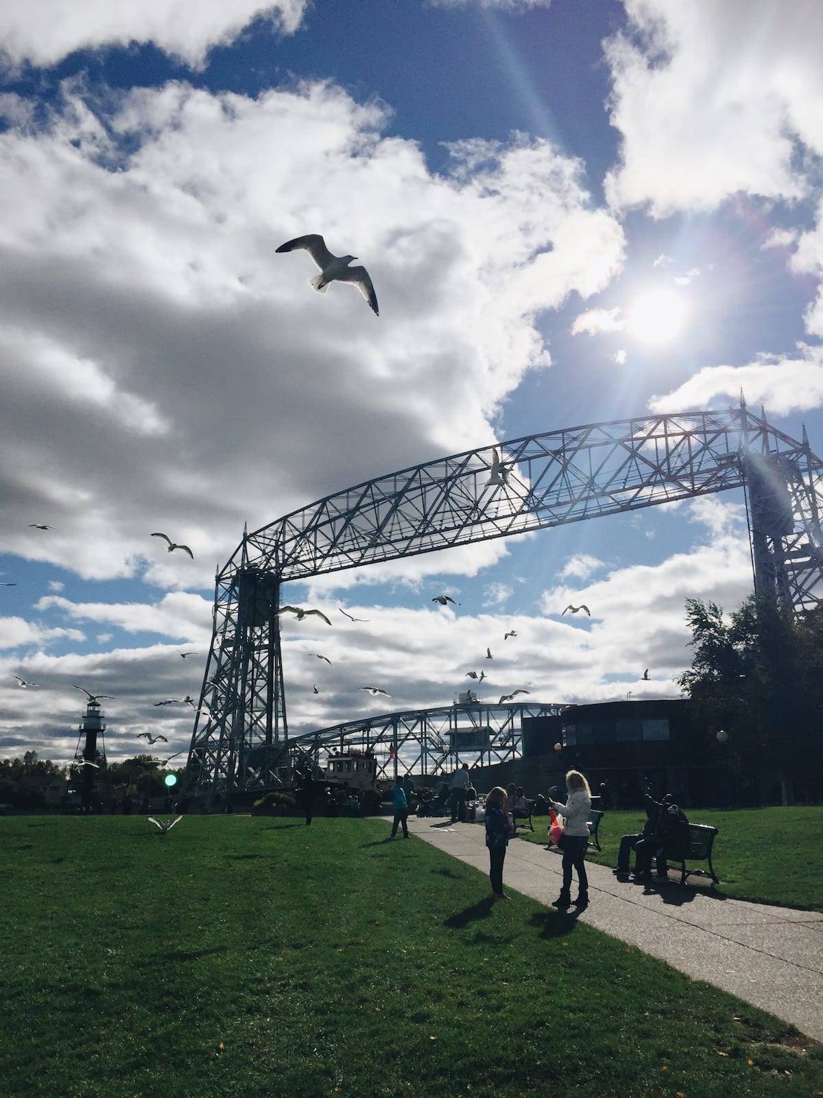 Seagull flying near life bridge.