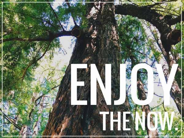 Enjoy the now.